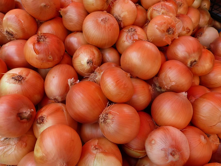 white, onion bulb lot, onion, vegetables, shell, brown, food, food and drink, freshness, vegetable