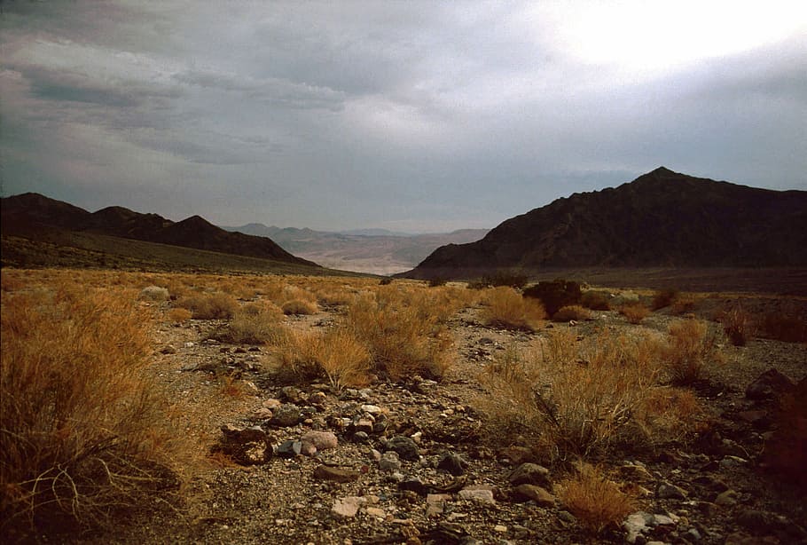 fajar, lembah kematian, nasional, taman, Yobel, Lulus, Taman Nasional Lembah Kematian, Nevada, awan, foto