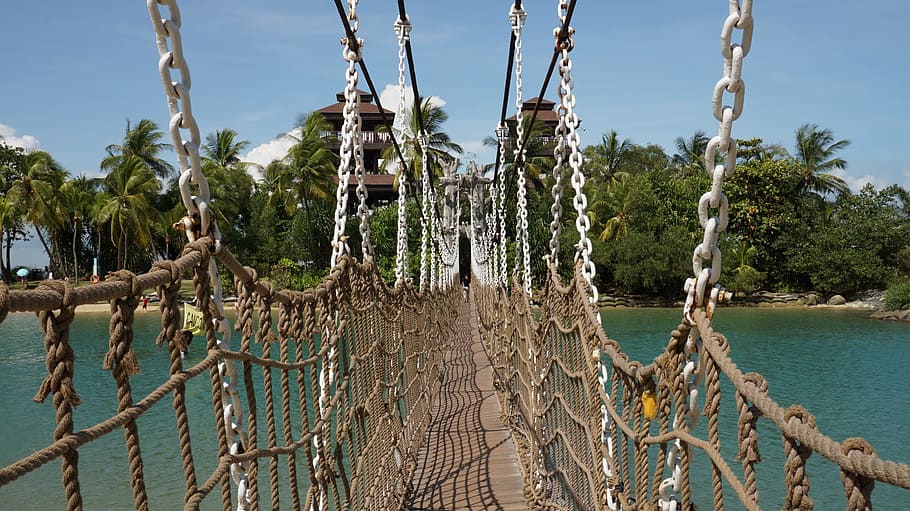 suspension bridge, rope, bridge, seaside, tourism, hotel, sky, tree, plant, nature