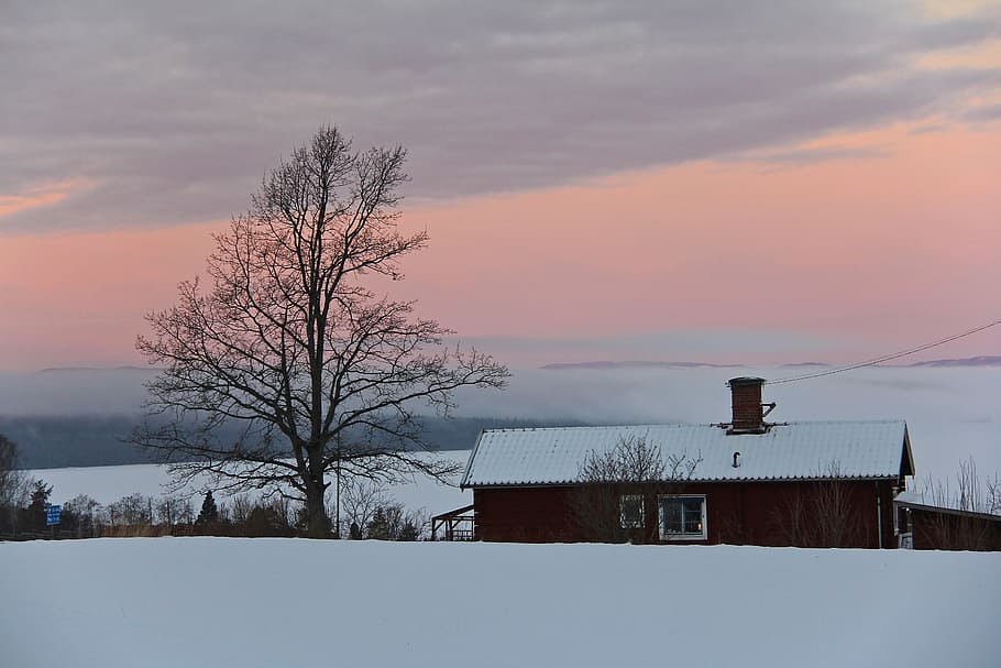 sunrise, beautiful, amazing, colorful, sky, snow, ice, cold, winter, swedish