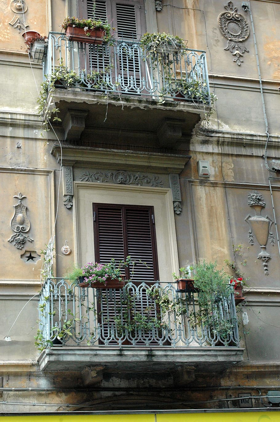 Italy, City, Balcony, Flowers, Street, old house, architecture, building exterior, built structure, ornate