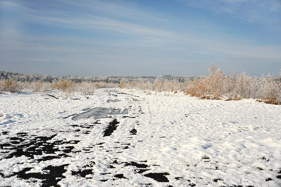landscape, peat, moor, snow, hoarfrost, trees, cold, cold temperature, winter, sky