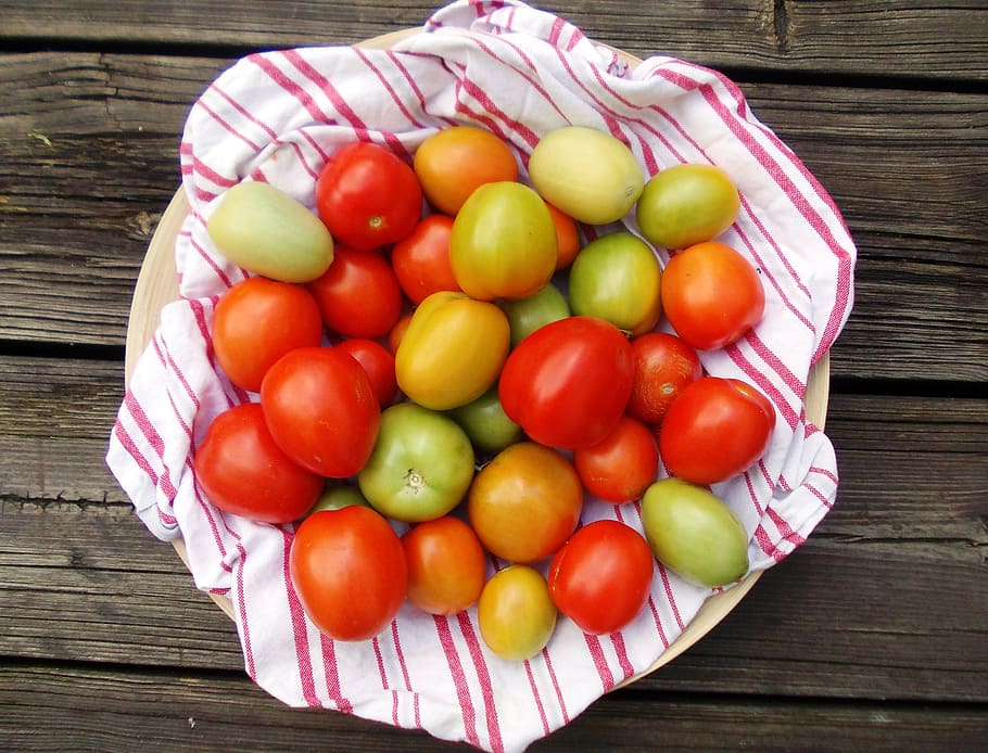 tomatoes, autumn, eat, mediterranean, red, benefit from, food and drink, food, freshness, fruit