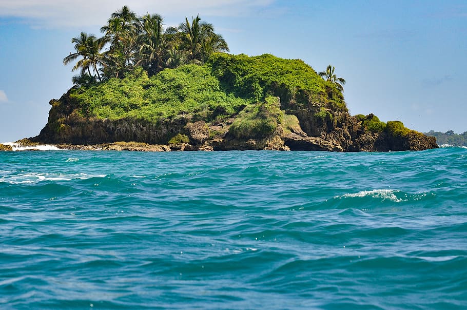 panama, island, sea, caribbean, bocas del toro, water, beauty in nature, tree, scenics - nature, tropical climate