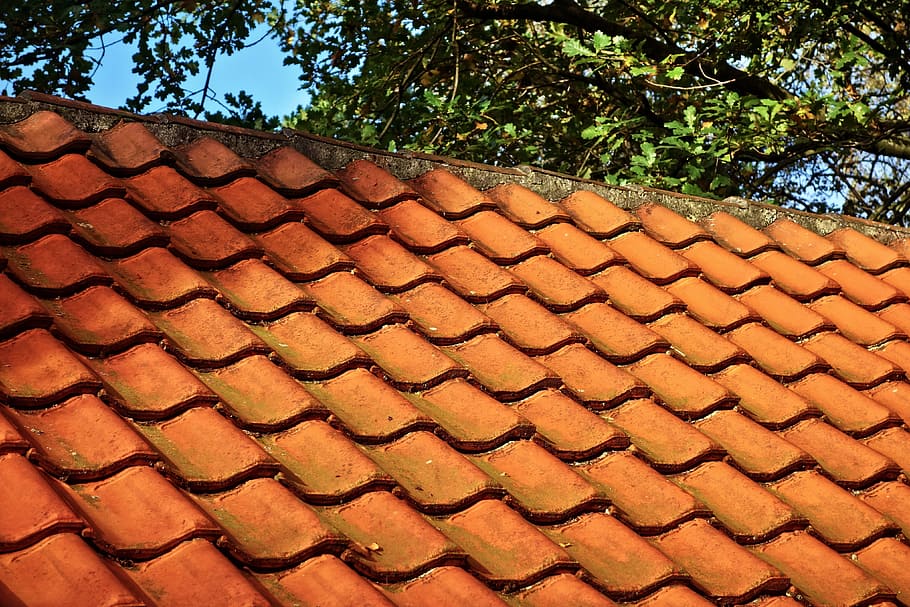 roof, tiles, roof tile, roofing, red roof tiles, barn, barn roof, pattern, tree, day