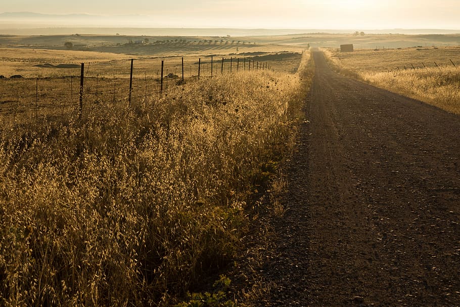 black, sand road, brown, grass field, daytime, track, dirt road, way, street, countryside
