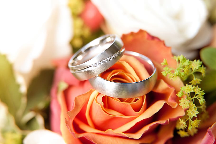 anéis para casamento, anéis, casamento, vários, anel, rosa - flor, close-up, ninguém, flor, comida e bebida