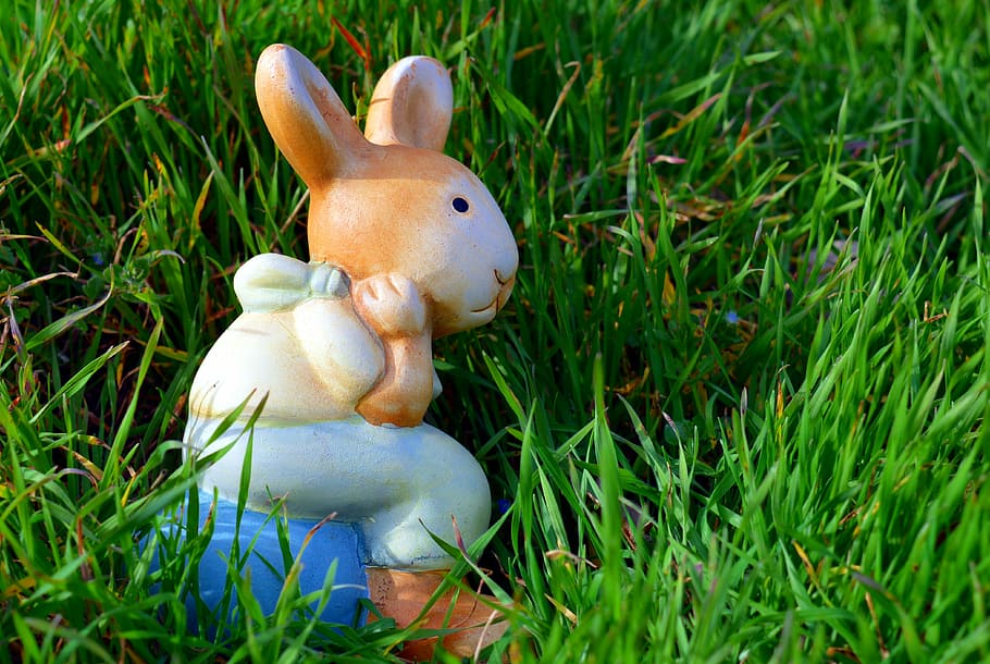 brown, white, blue, ceramic, rabbit figurine, green, grass, daytime, hare, easter bunny