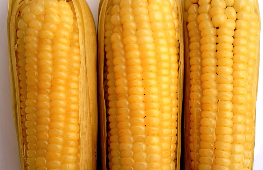 food, muscles, background, food and drink, corn, vegetable, yellow, freshness, sweetcorn, wellbeing