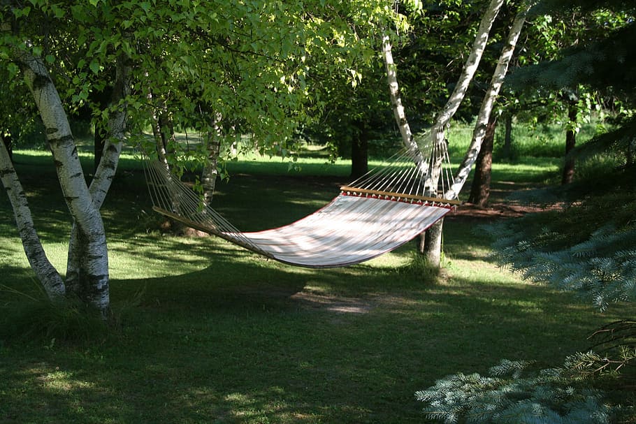 putih, tempat tidur gantung, gantung, pohon, gendongan, rileks, istirahat, rekreasi, di luar ruangan, relaksasi