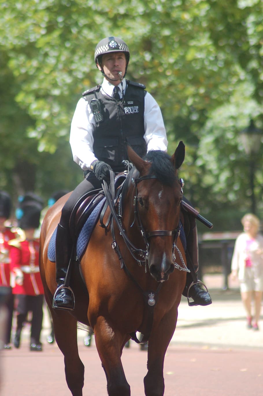 London, Horse, Animals, the horse, animal, landscape, policeman, outdoors, riding, sport