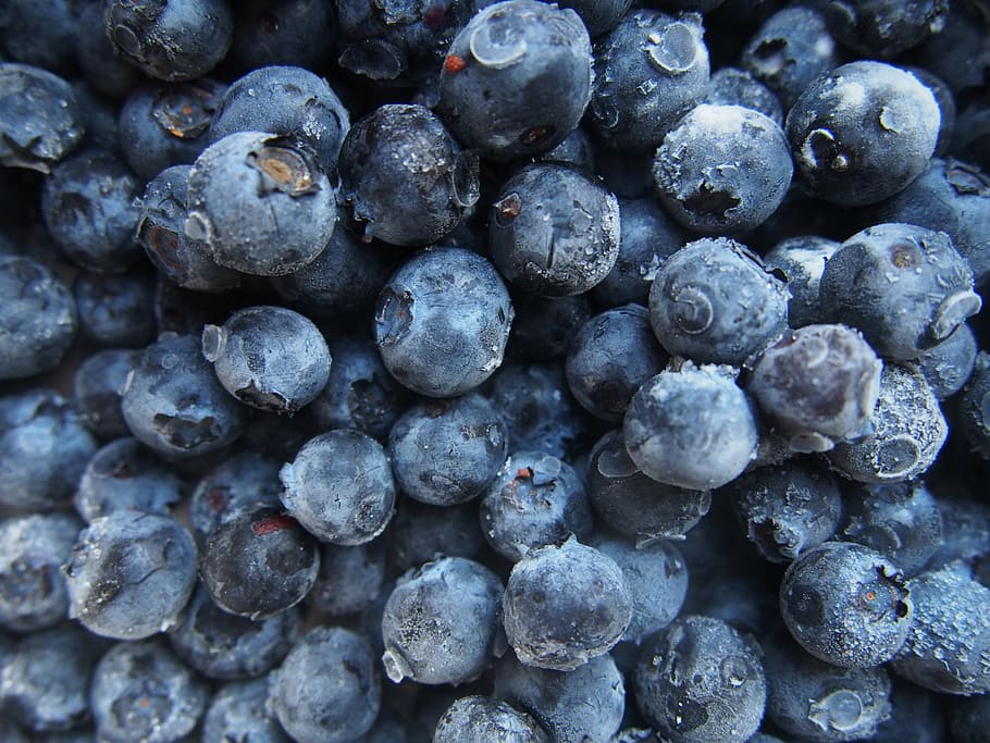 sekelompok blueberry, dangkal, fokus, fotografi, banyak, blueberry, buah-buahan, makanan, sehat, buah
