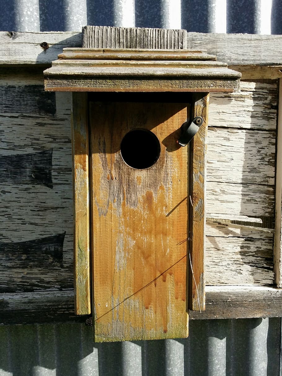 bird house, country, outdoor, nature, rural, bluebird, wood - material, day, outdoors, architecture