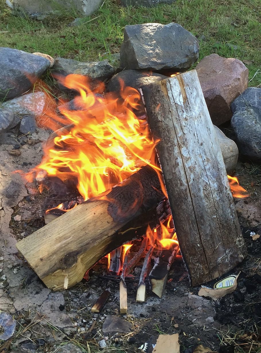 fuego, madera, verano, hoguera, llama, quema, calor - temperatura, fuego - fenómeno natural, madera - material, registro