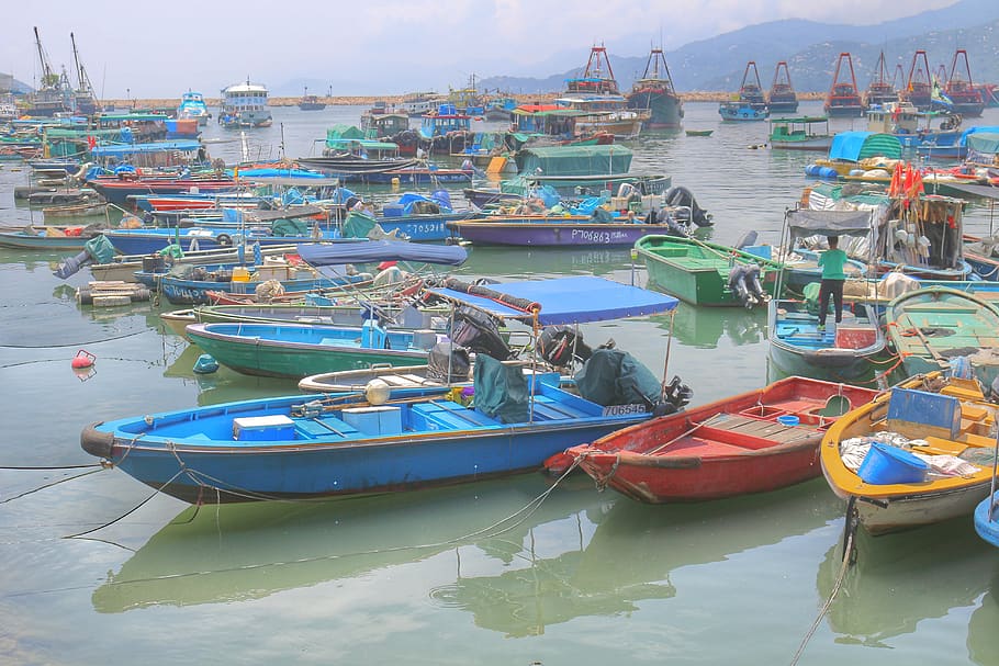 hong kong, long island, fishing village, honest, nautical vessel, water, mode of transportation, transportation, moored, harbor