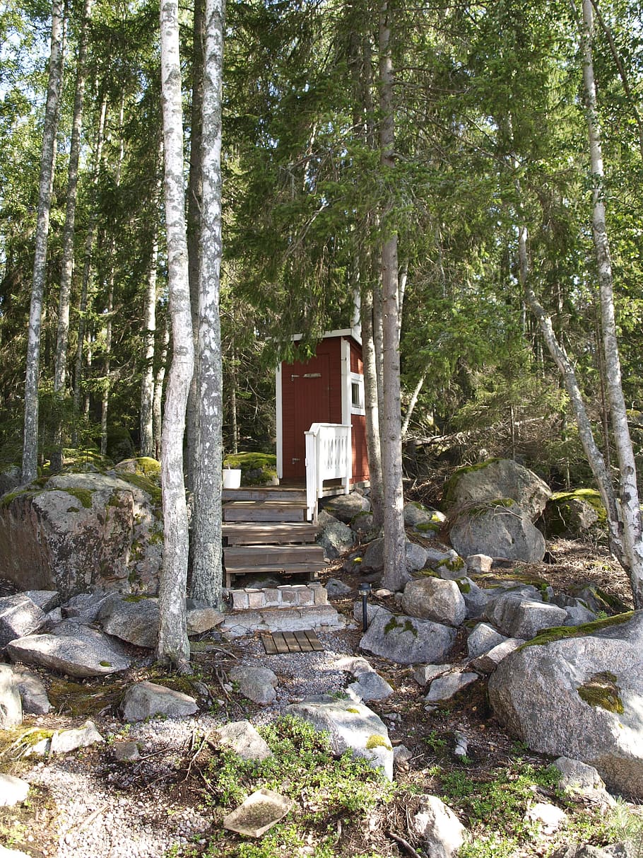 outhouse, summer, norrland, toilet, sweden, forest, nature, tree, outdoors, woodland