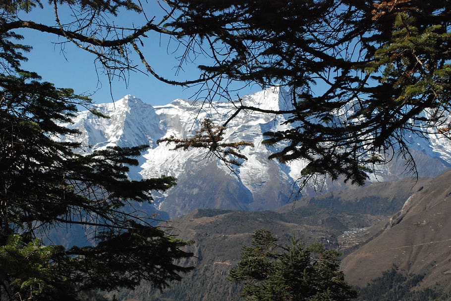 nepal, the himalayas, the path to namche bazar, landscape, tree, mountain, beauty in nature, plant, snow, sky