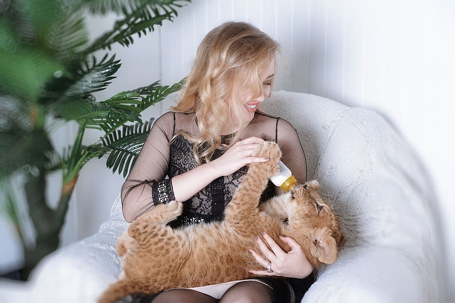 shoot with a lion cub, leo, she feeds the lion, lion cub as a child, drinking milk, a bottle of milk, blonde with a lion, one person, holding, hair