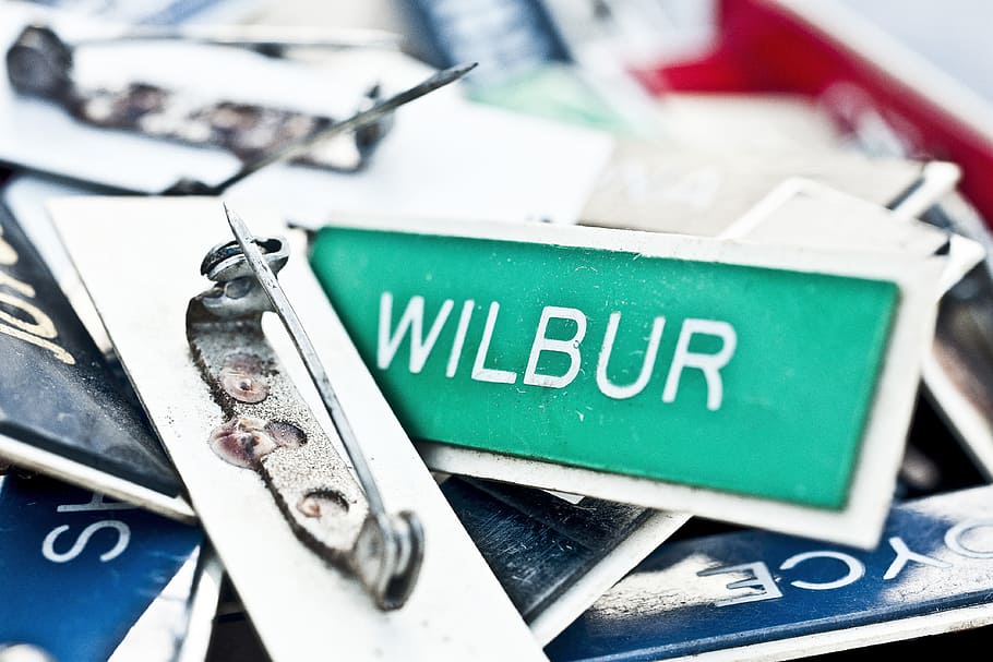 wilbur pin badge, doorplates, door plates, name plates, signs, turquoise, labels, name, text, close-up