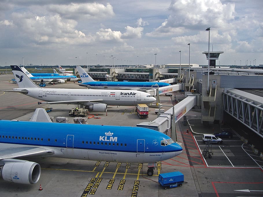 Airport, Terminal, Schiphol, Amsterdam, airport, terminal, architecture, building, transport, international, aircraft