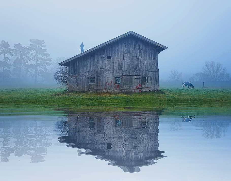 water, house, barn, outdoors, nature, lake, architecture, wood, grass, building