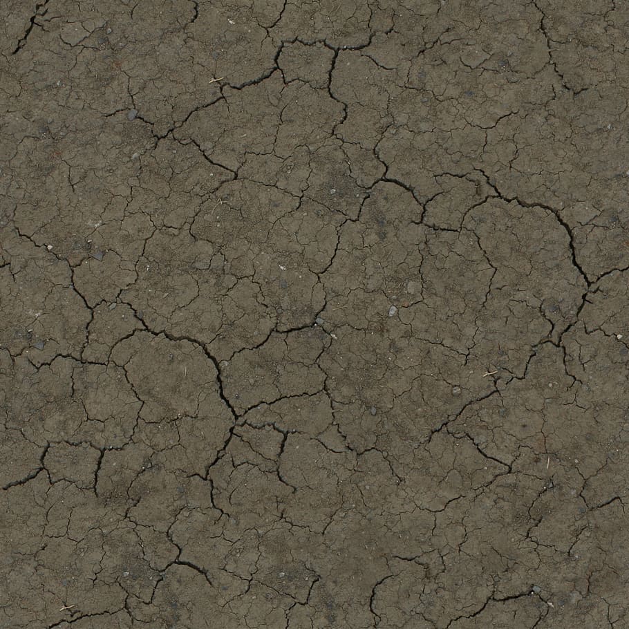 crackled, suelo, tierra, seco, textura, crack, suciedad, terreno, enlosables, sin costura