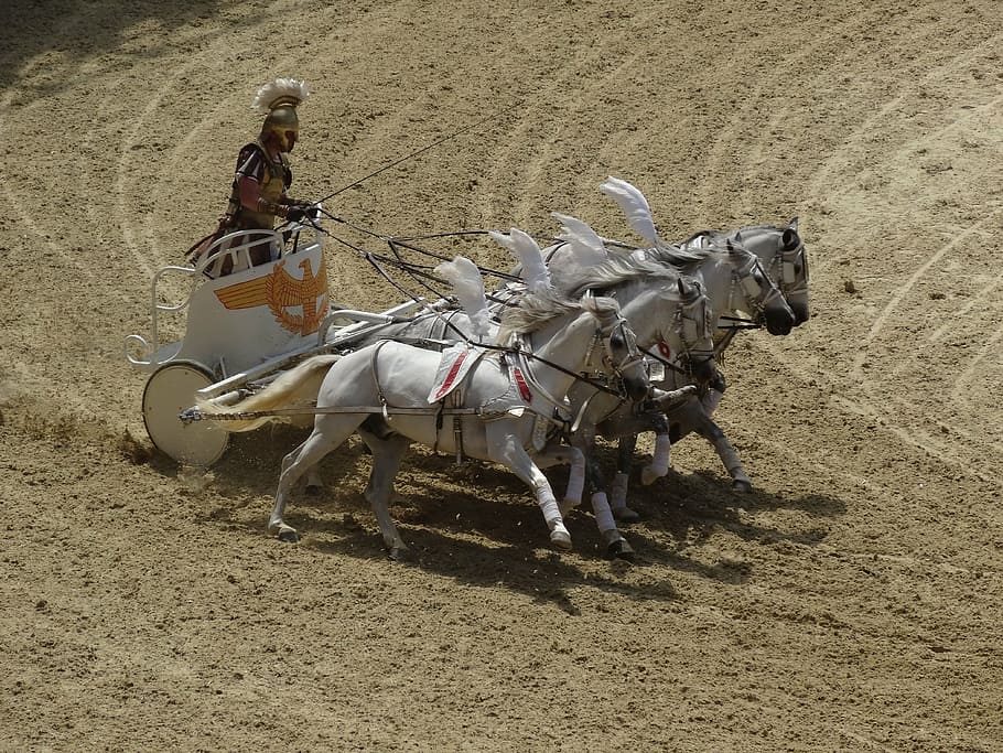 man, wearing, galea helmet, riding, chariot, horses, roman, arena, historic, race