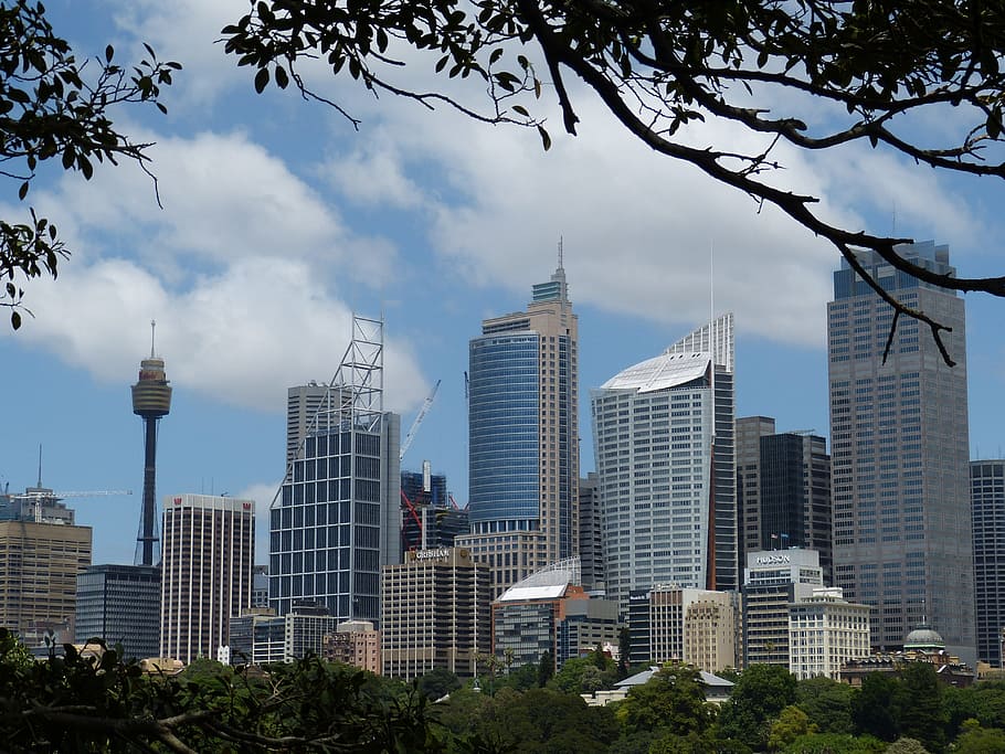 person showing skyscrapers, sydney, australia, city, skyscraper, skyscrapers, homes, architecture, facade, tower