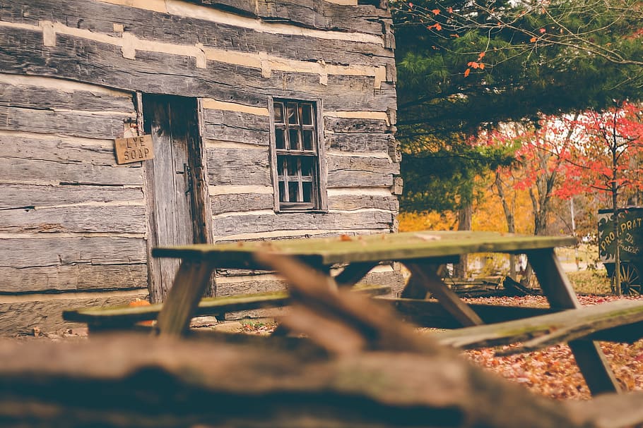 green, wooden, picnic table, house, cottage, cabin, log, rustic, remote, trees