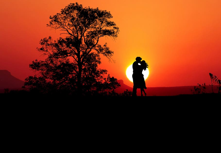 sunset, couple, romance, nature, trees, love, people, romantic, human, woman