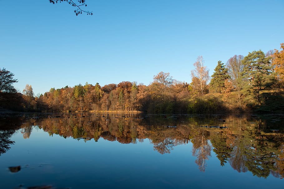 Stuttgart, Bear Lake, naturaleza, otoño, lago, reflejar, reflejo, agua, árbol, cielo