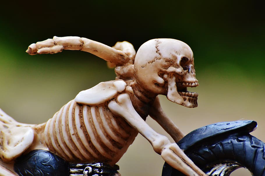 skeleton illustration, biker, skeleton, creepy, weird, decoration, scary, bone, horror, skull and crossbones