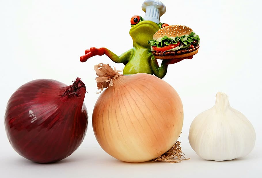 hamburger, frog, cooking, onions, vegetables, food, eat, nutrition, edible, zwiebelschale