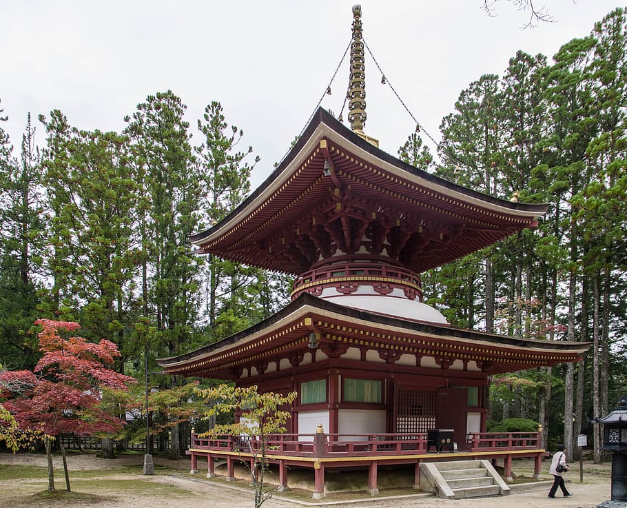 japan, koyasan, pagoda, buddhism, religion, temple, built structure, architecture, tree, plant