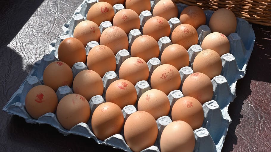 eggs, chickens, food, egg, chicken, eggshell, chicks, animal, farm, healthy