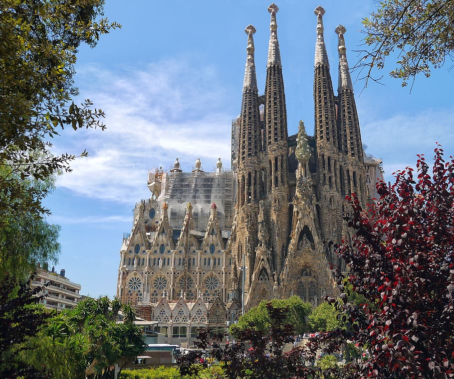 coklat, beton, kastil, dikelilingi, pohon, sagrada familia, katedral, arsitektur, monumen, barcelona