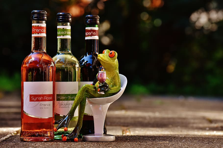 frog, sitting, bar stool, tree bottles, wine, drink, restaurant, weinstube, alcohol, figure