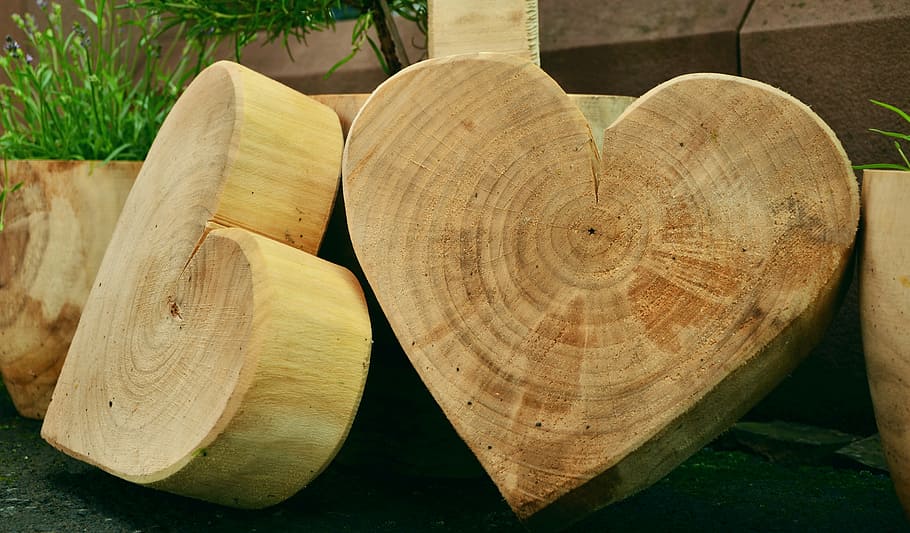 beige, wooden, heart-shaped tree stumps, wood, wood art, wood carving, wood sculptor, artwork, heart, wooden heart