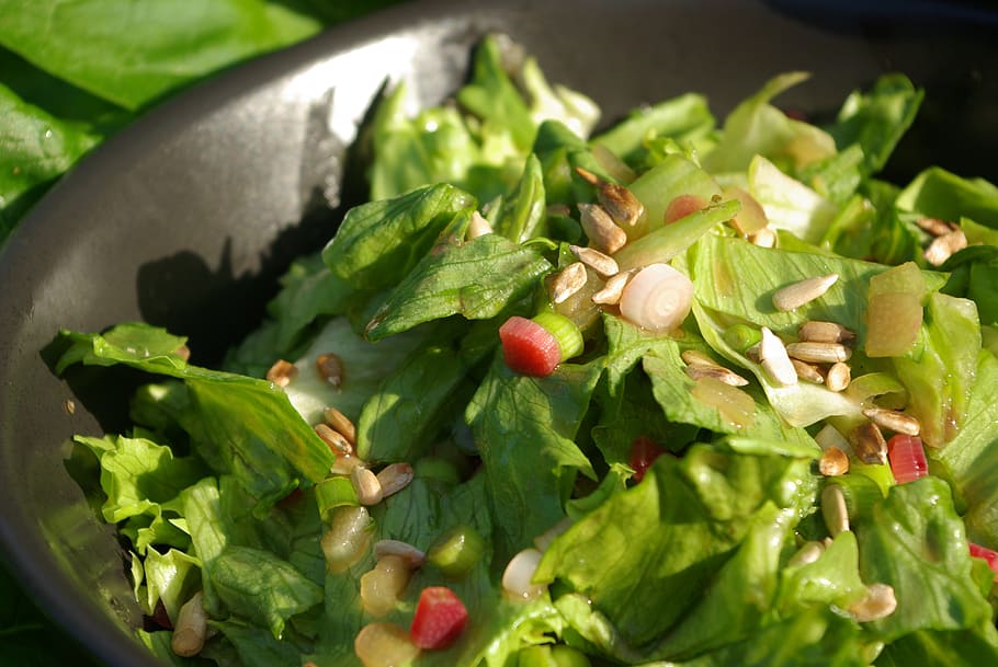 bowl of vegetables, rhubarb salad, salad, food, cholesterol, rhubarb, york's cholesterol- cookbook, healthy, healthy food, food and drink
