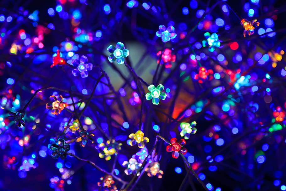 色とりどりの花文字列ライト, 閉じる, 写真, 抽象, 青, 明るい, クリスマス, 色, カラフル, 暗い