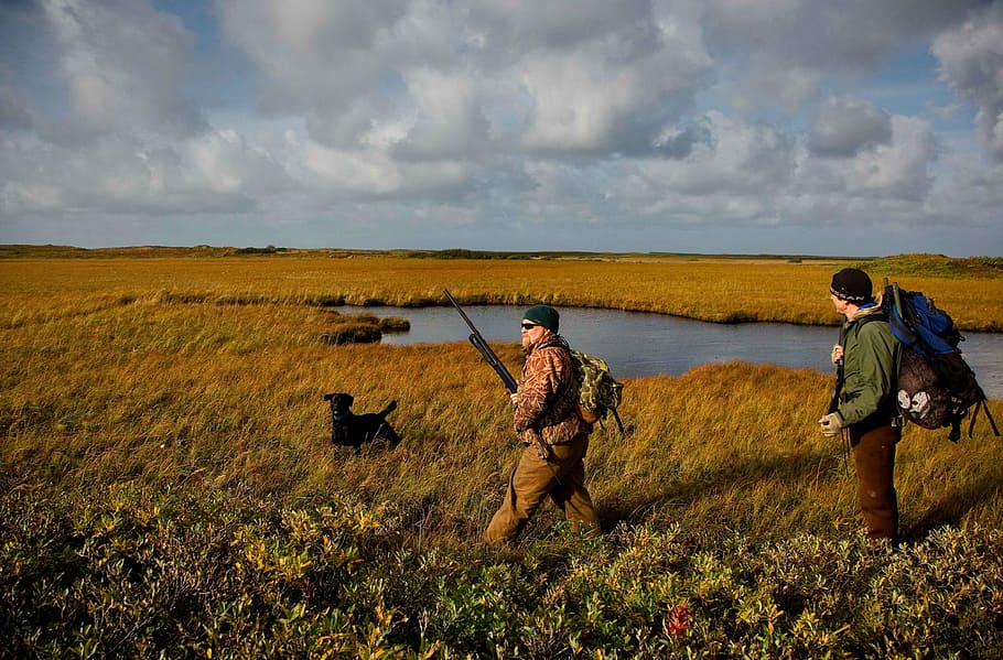 dog, walking, man, holding, rifle, front, standing, carrying, backpack, field
