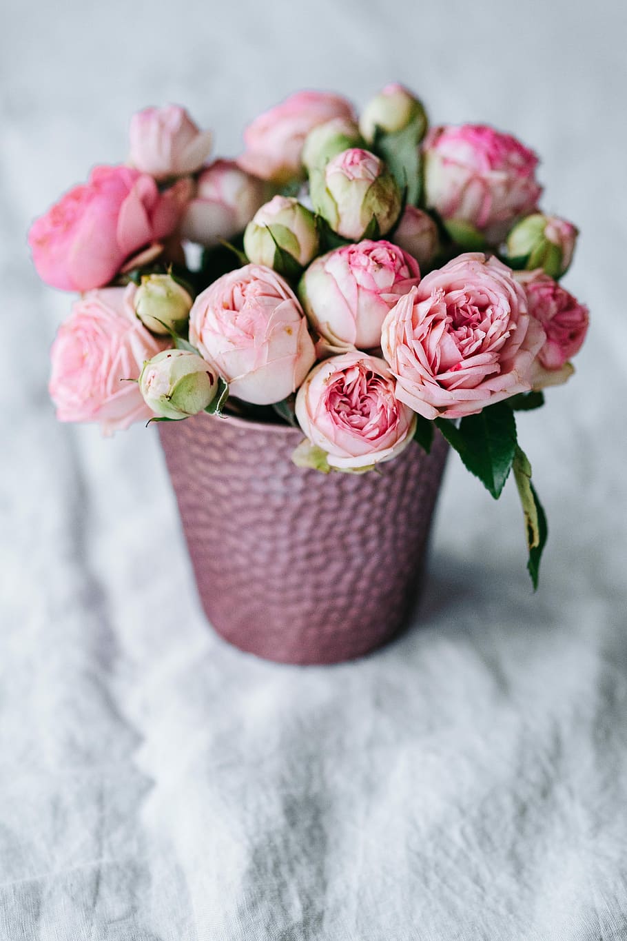 mawar, pot, Merah Muda, bunga, flora, bunga-bunga indah, karangan bunga, Warna pink, alam, kesegaran