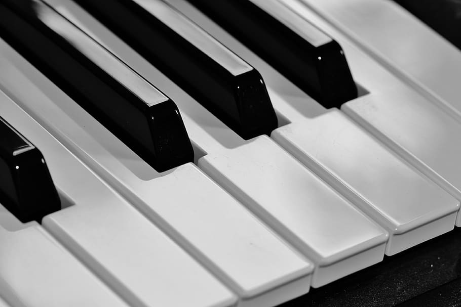 keyboard key, piano, keyboard, keys, music, instrument, black, white, piano keys, piano keyboard