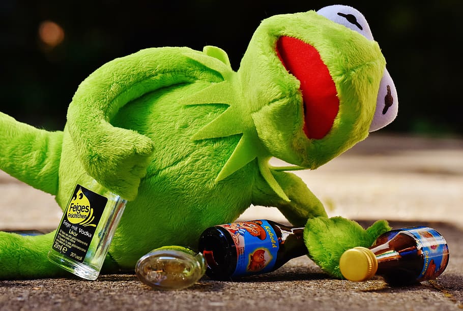 kermit, frog, drink, alcohol, drunk, rest, sit, figure, funny, frogs