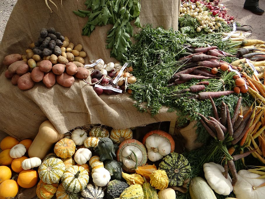 verduras, verduras viejas, etal, mercado, mercado orgánico, comercio, poder, artesanías, colores, francia