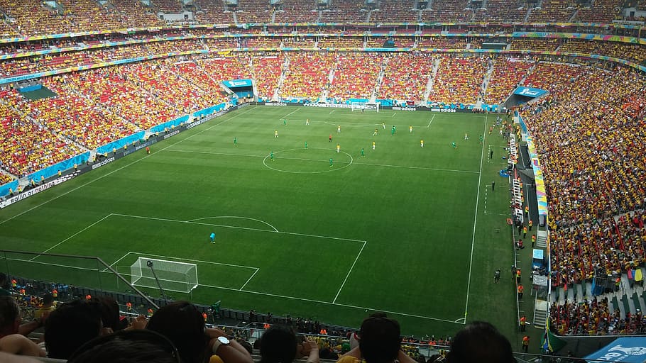 stadium, football, field, lawn, game, crown, fifa world cup, brazil, sport, twisted