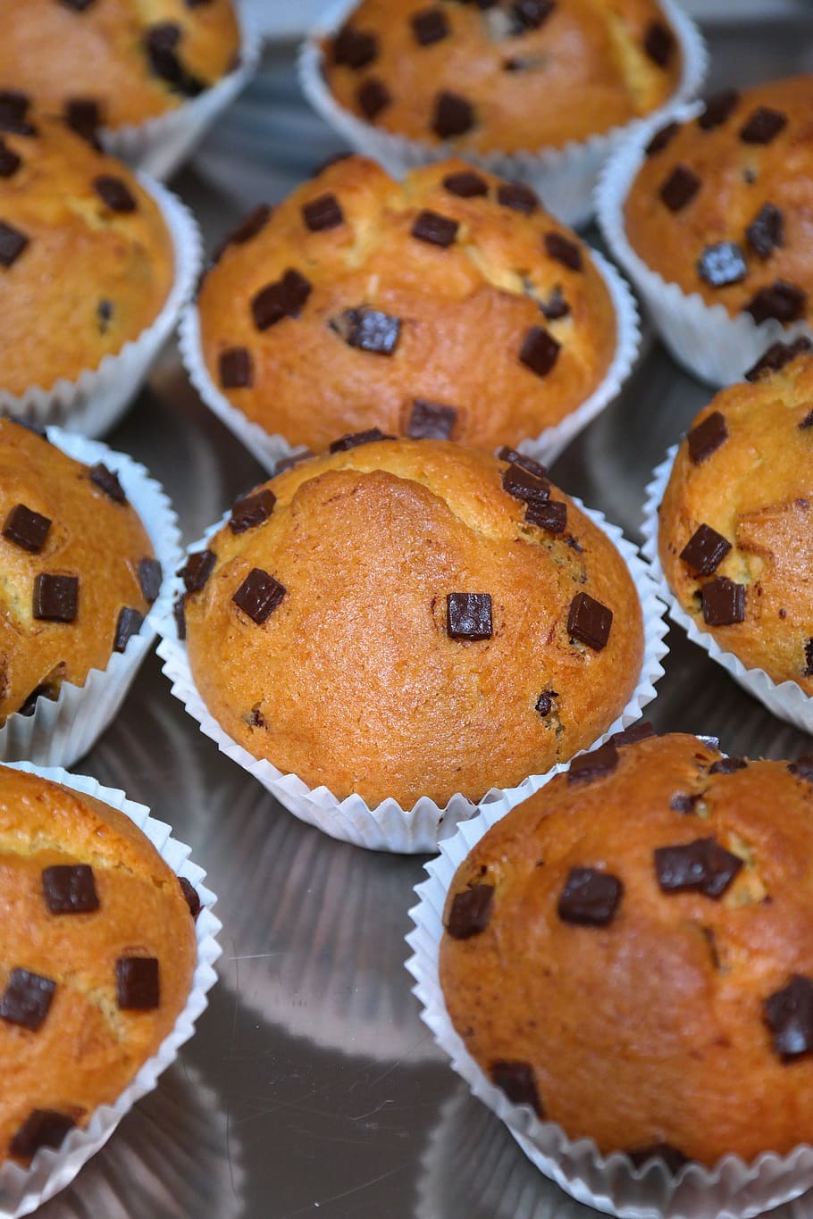 Muffins, Chocolate, schokoladenmuffins, delicious, sweet, calories, treat, small cakes, pastries, food