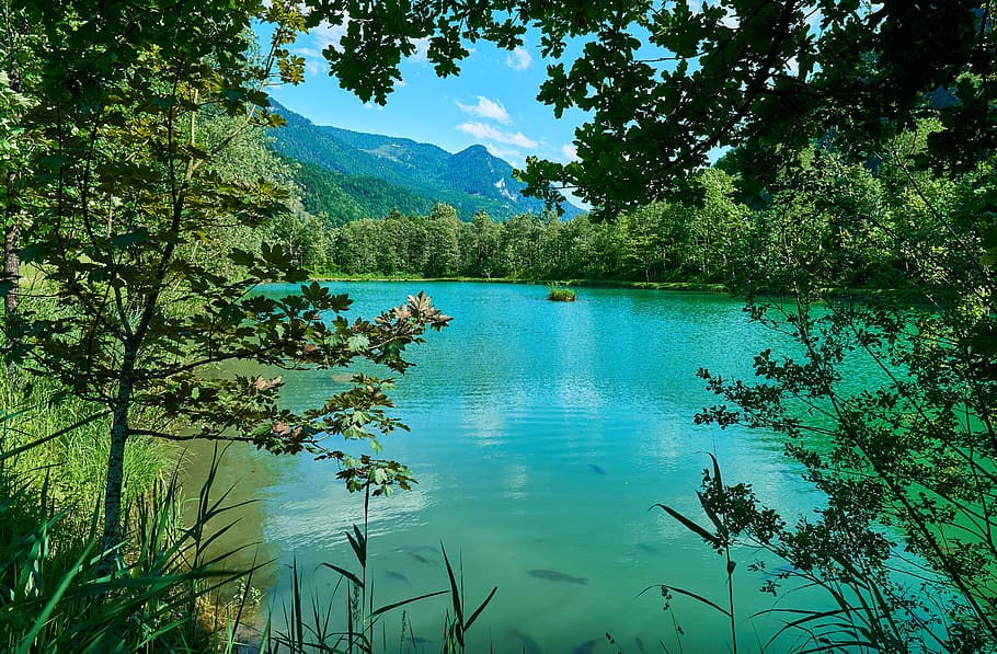 lake, pond, mountains, landscape, tyrol, water, trees, nature, protected landscape area, austria
