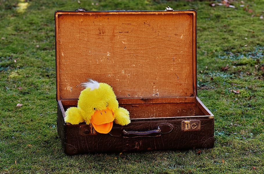 luggage, antique, duck, funny, curious, leather, old suitcase, junk, generations, soft toy