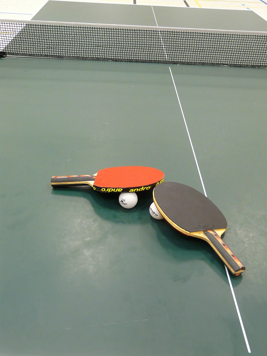 table tennis, ping-pong, bat, table tennis bat, sport, play, indoors, racket, ball, still life